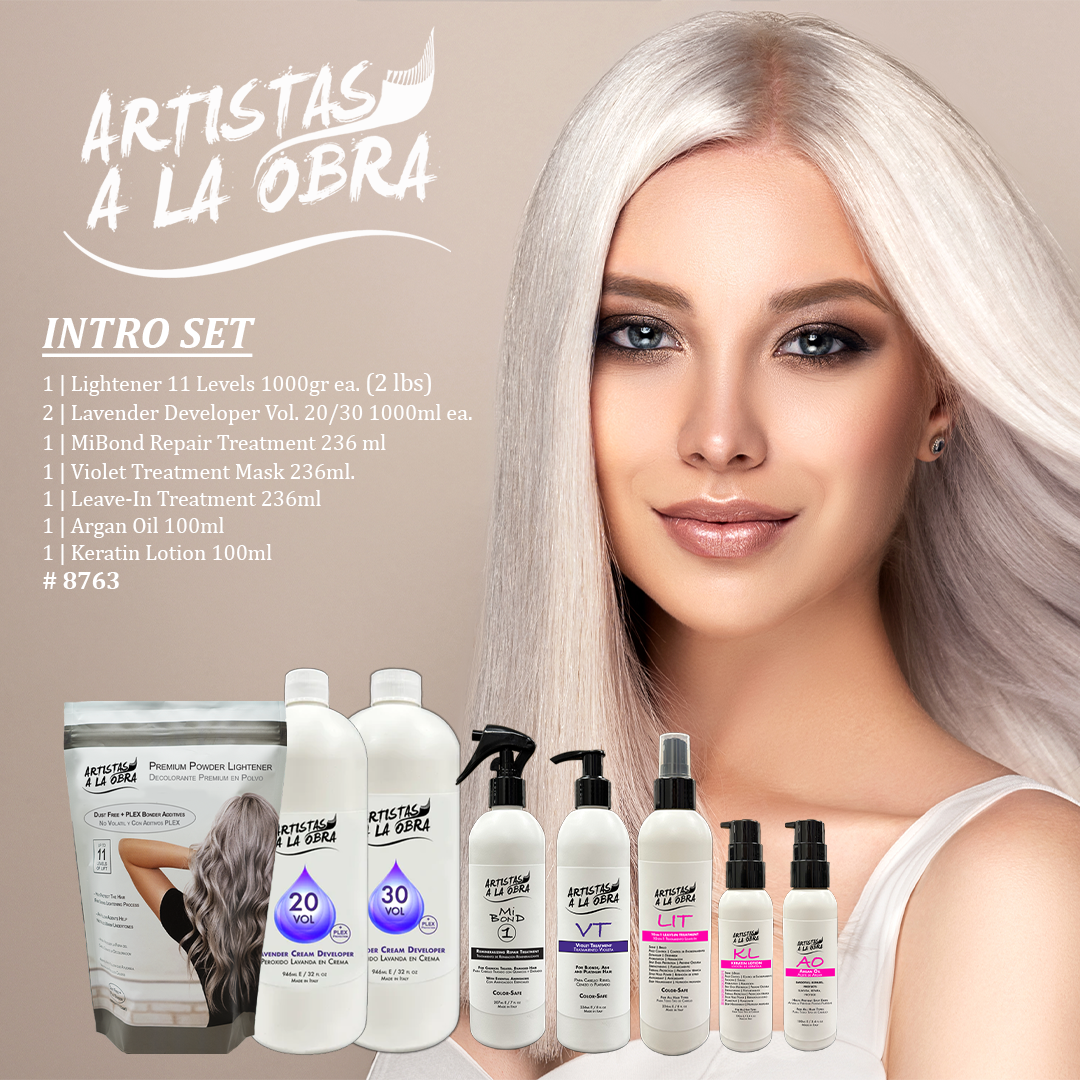 Artistas a La Obra INTRO SET 8763
