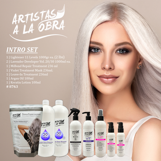 Artistas a La Obra INTRO SET 8763
