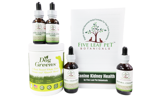 Five Leaf Botanicals | Canine Kidney Health Program