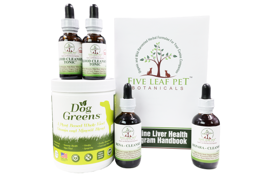 Five Leaf Botanicals | Canine Liver Health Program