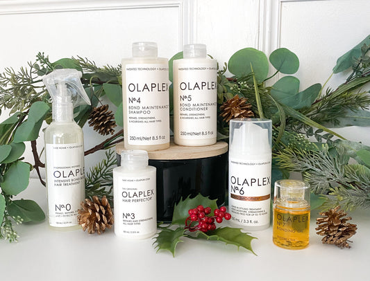 Olaplex Explore The Luxuries MaleSkin Christmas Gift Box