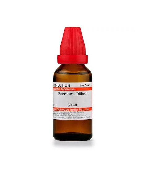 Boerha Avia Diffusa Dilution 6C, 30C, 200C, 1M, 10M