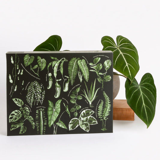 Leaf Supply | Plant Puzzle